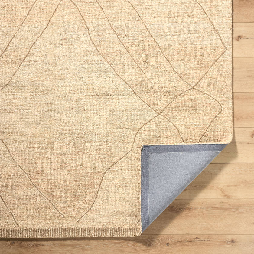 Trout Valley Global Beige Area Rug