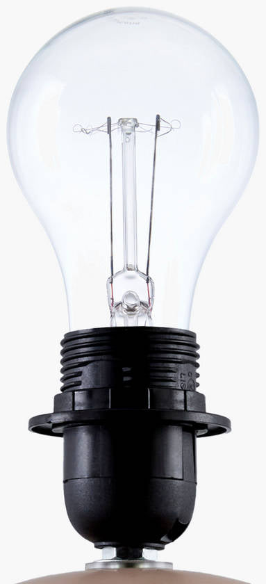 Mckayla Modern Coral Table Lamp