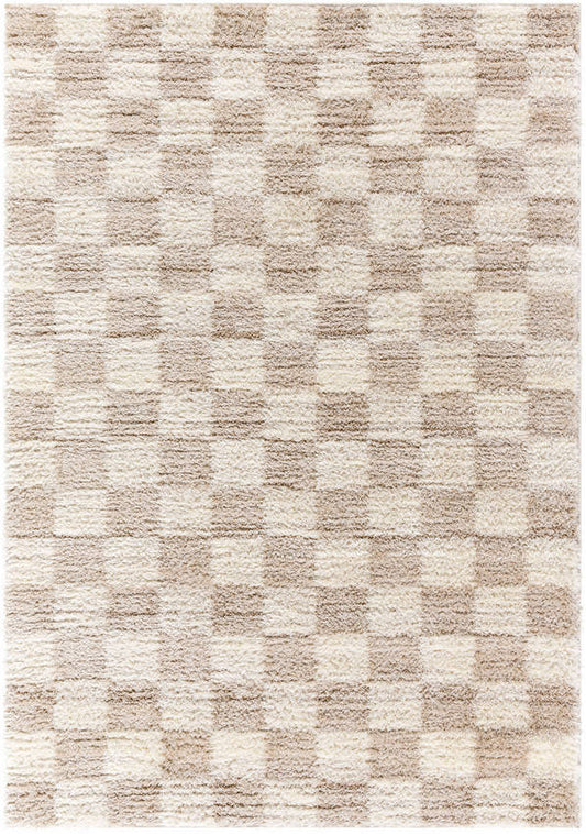 Yaakov Modern Medium Brown Area Rug