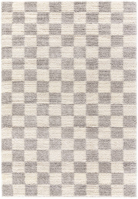 Yaakov Modern Light Gray Area Rug