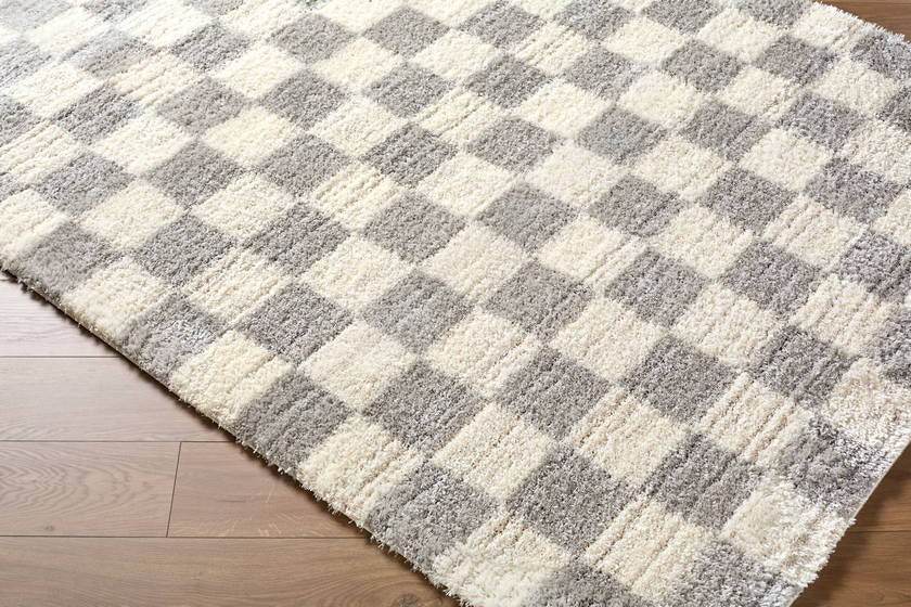 Yaakov Modern Light Gray Area Rug