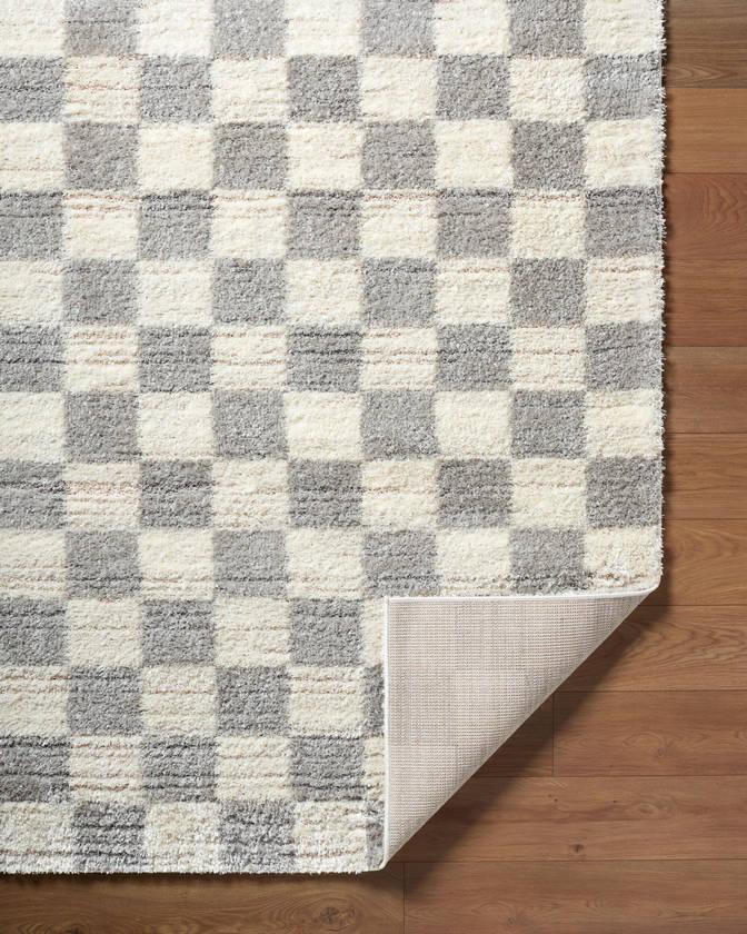 Yaakov Modern Light Gray Area Rug