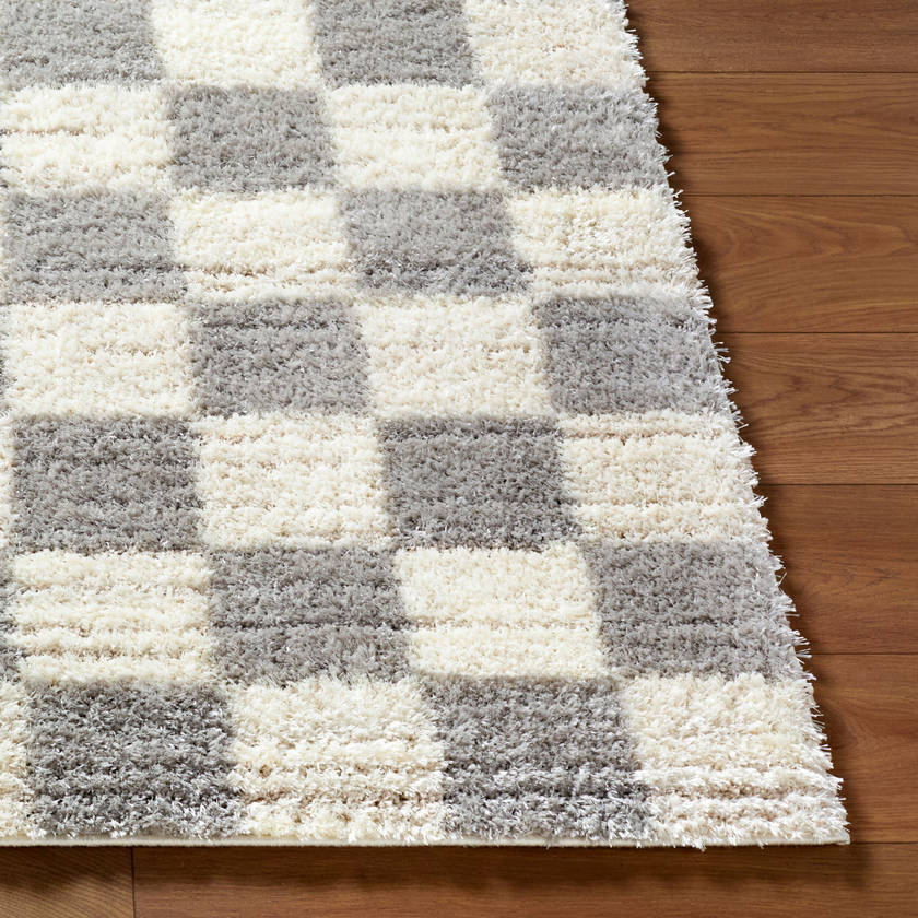 Yaakov Modern Light Gray Area Rug