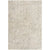 Betsaida Traditional Ash Area Rug