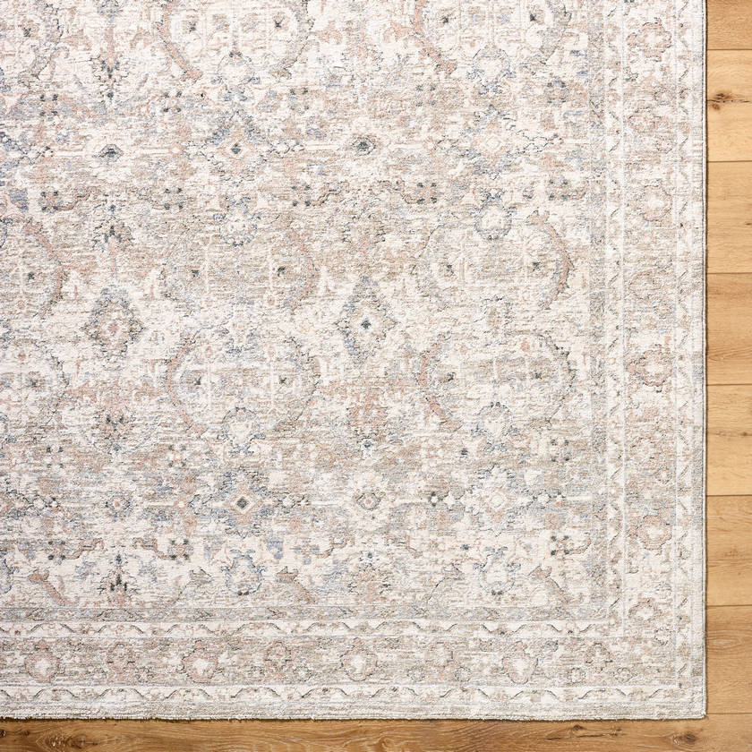 Trenna Traditional Light Silver Area Rug