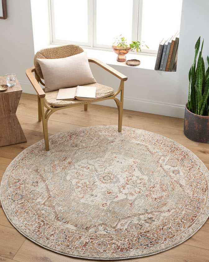 Ramia Traditional Cream/Slate Area Rug