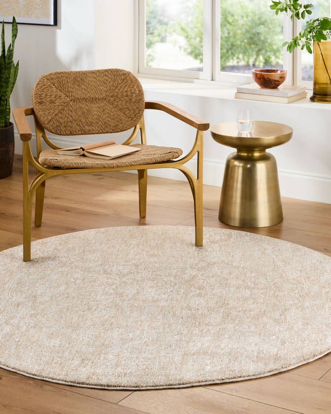 Sholom Traditional Light Silver Area Rug