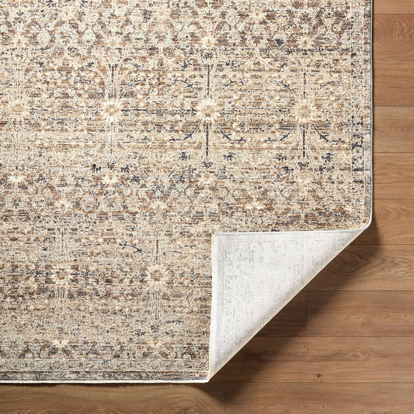 Sandro Traditional Brown Area Rug