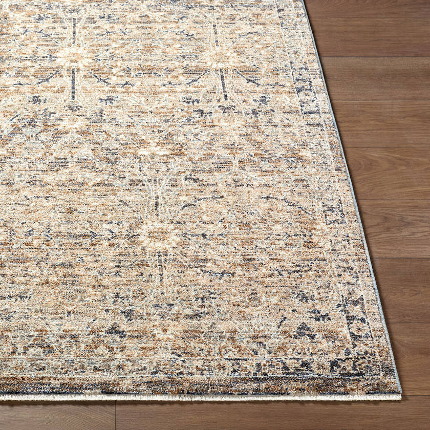 Sandro Traditional Brown Area Rug