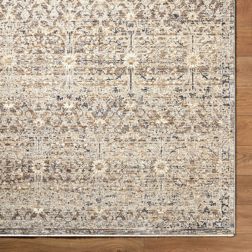 Sandro Traditional Brown Area Rug