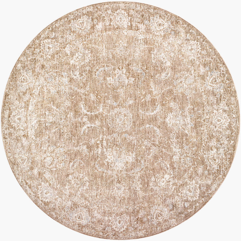 Pennie Traditional Light Brown Area Rug
