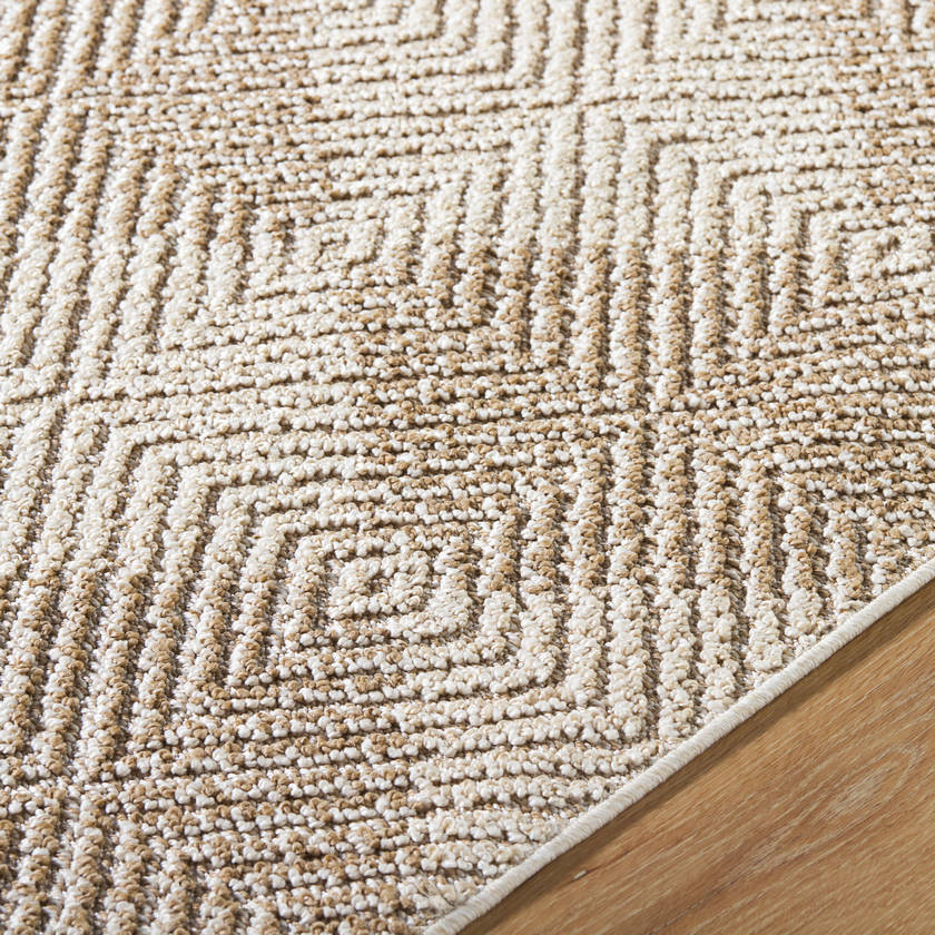 Kaya Cottage Tan Area Rug - Vivir x Livabliss