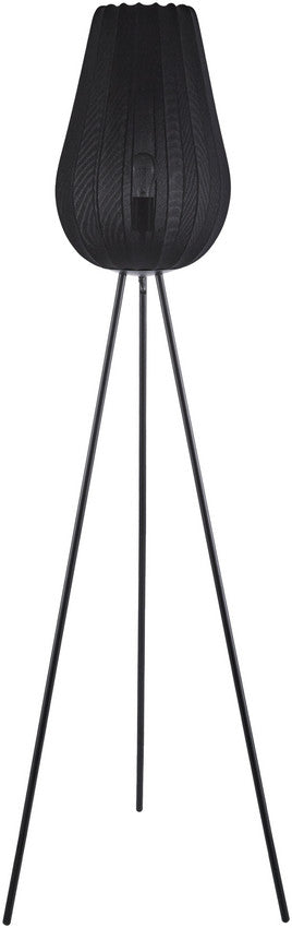 Angele Modern Black Floor Lamp