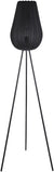 Angele Modern Black Floor Lamp