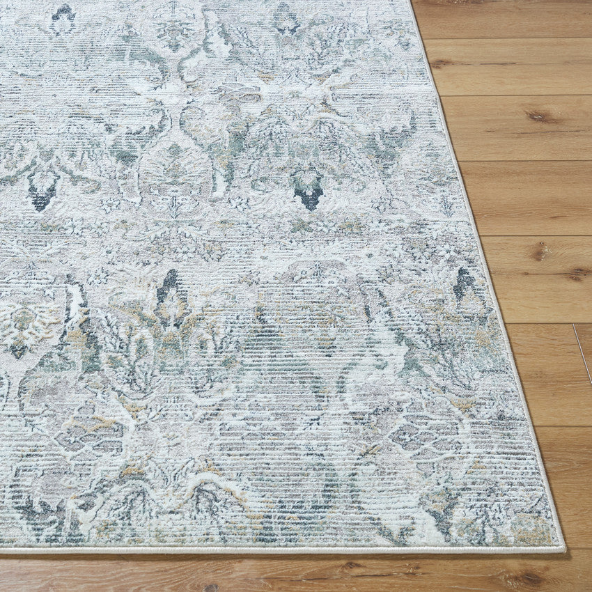 Jarryd Traditional Light Gray Area Rug