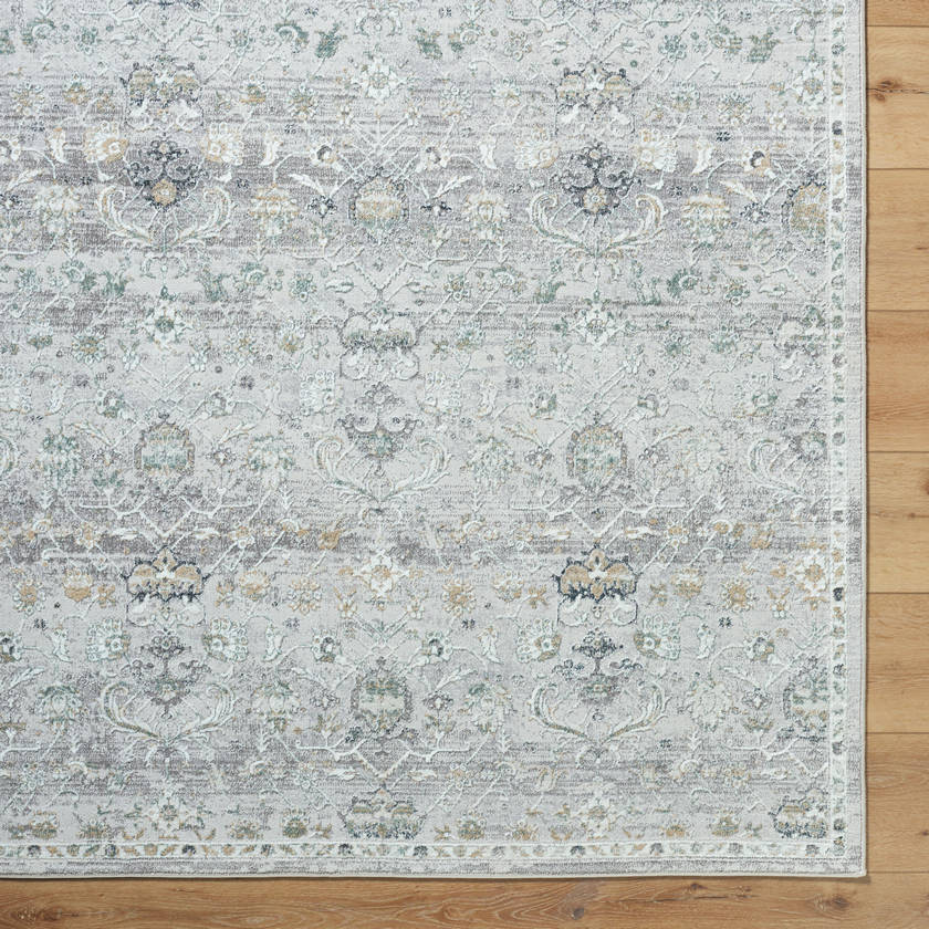 Audria Traditional Light Sage Area Rug