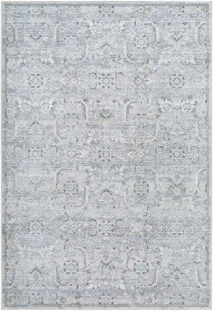 Deval Traditional Gray Area Rug