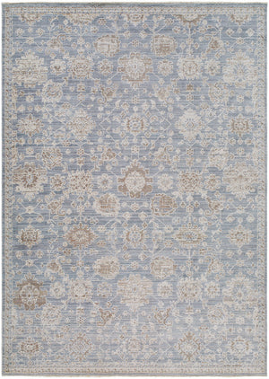 Joya Traditional Denim Area Rug