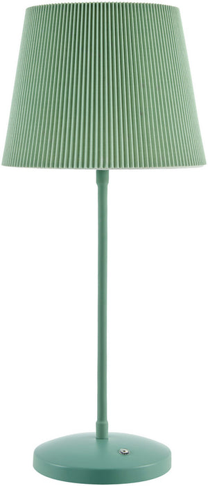 Shaquela Modern Sage Table Lamp