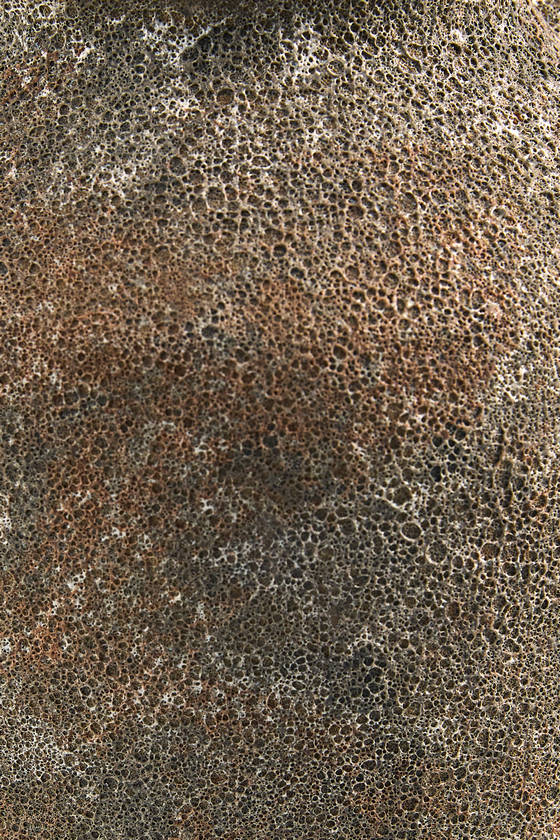 Abbie Rust Decorative Accent - Galey Alix x Livabliss