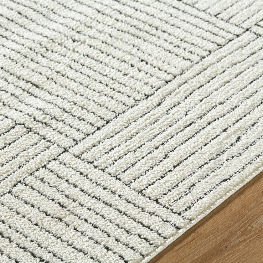 Architect Modern Ivory/Black Area Rug - Galey Alix Livabliss