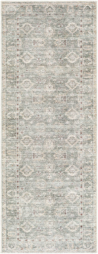 Collins Avenue Traditional Dusty Sage Area Rug - Galey Alix Livabliss
