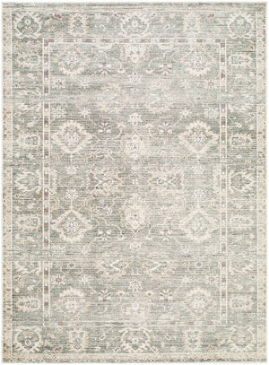 Collins Avenue Traditional Dusty Sage Area Rug - Galey Alix Livabliss