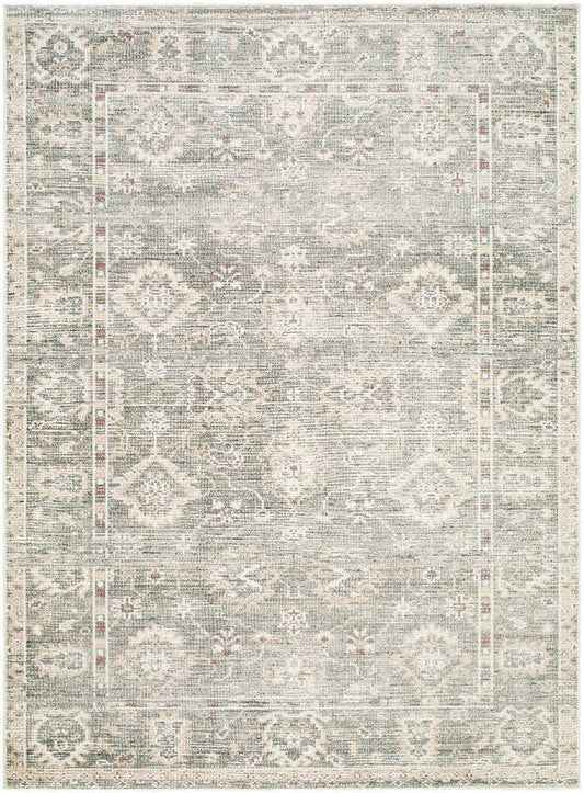 Collins Avenue Traditional Dusty Sage Area Rug - Galey Alix Livabliss