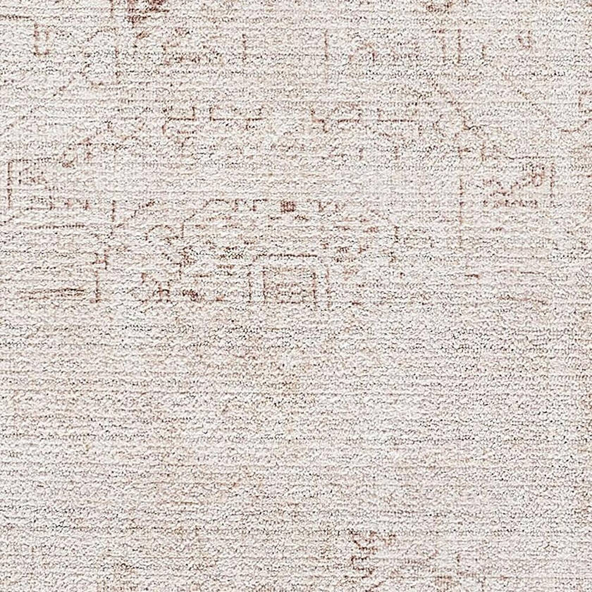 Collins Avenue Traditional Ivory/Brown Area Rug - Galey Alix Livabliss