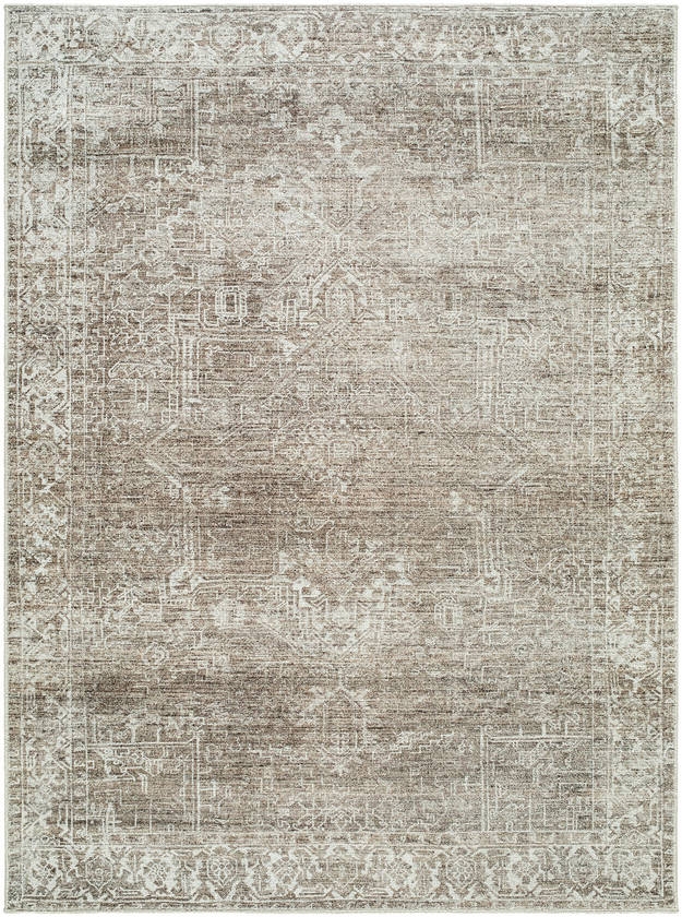 Collins Avenue Traditional Dark Brown Area Rug - Galey Alix Livabliss