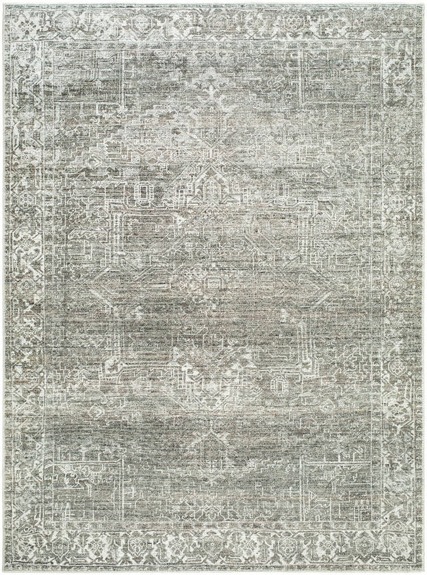 Collins Avenue Traditional Olive Area Rug - Galey Alix Livabliss
