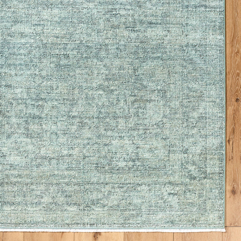 Maria Elena Traditional Dusty Sage Area Rug - Galey Alix Livabliss