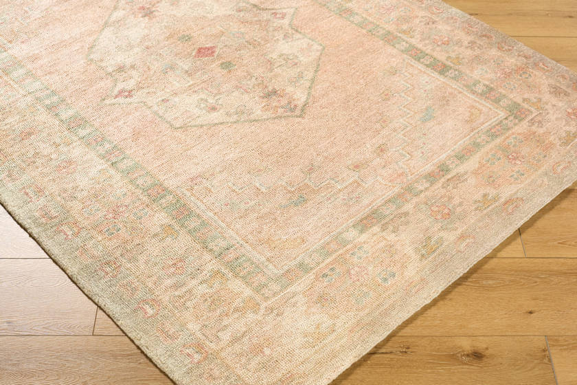 Luciana Traditional Sage/Blush Area Rug - Galey Alix Livabliss