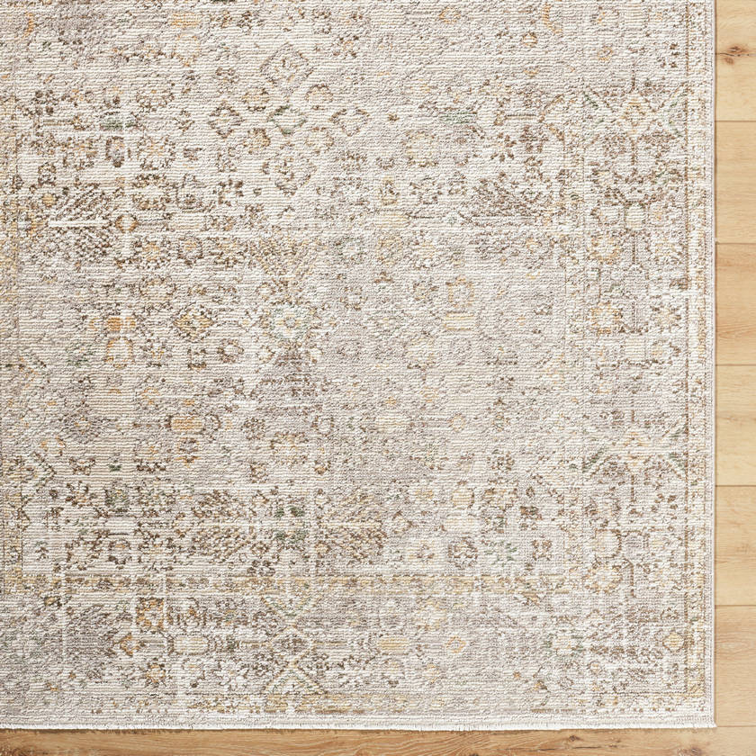Myrtle Avenue Traditional Taupe/Cream Area Rug - Galey Alix Livabliss