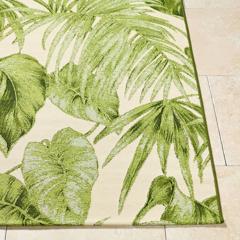 Leroy Coastal Olive Green Area Rug