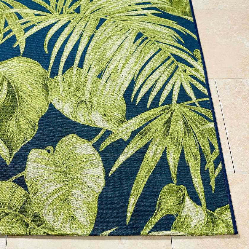 Leroy Coastal Lime Green Area Rug
