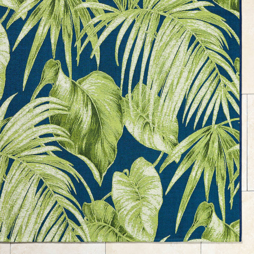 Leroy Coastal Lime Green Area Rug