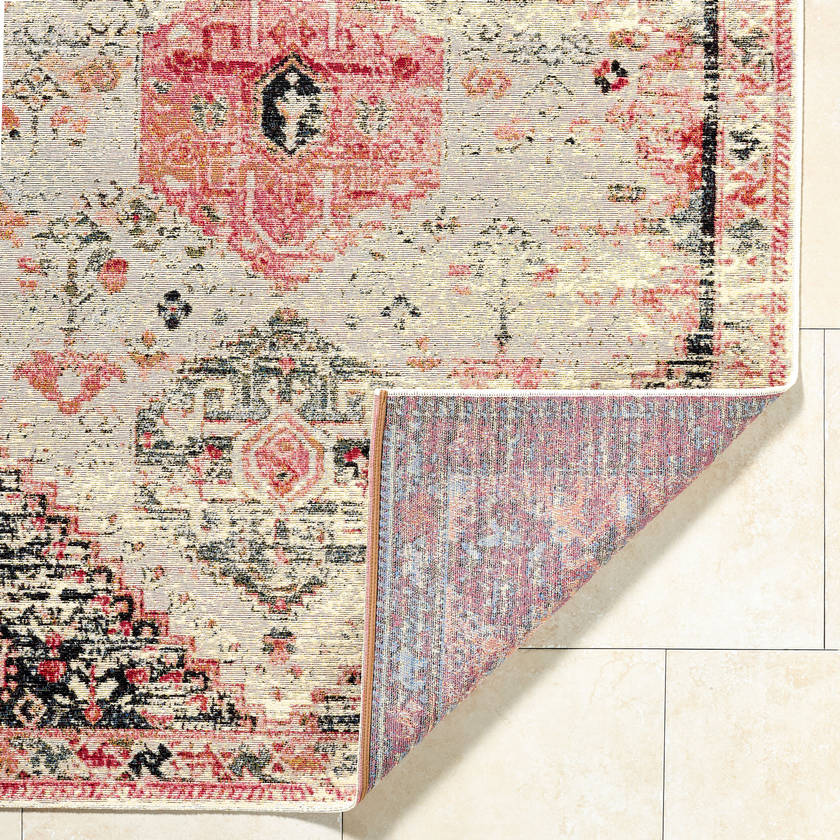 Haacht Traditional Blush Area Rug