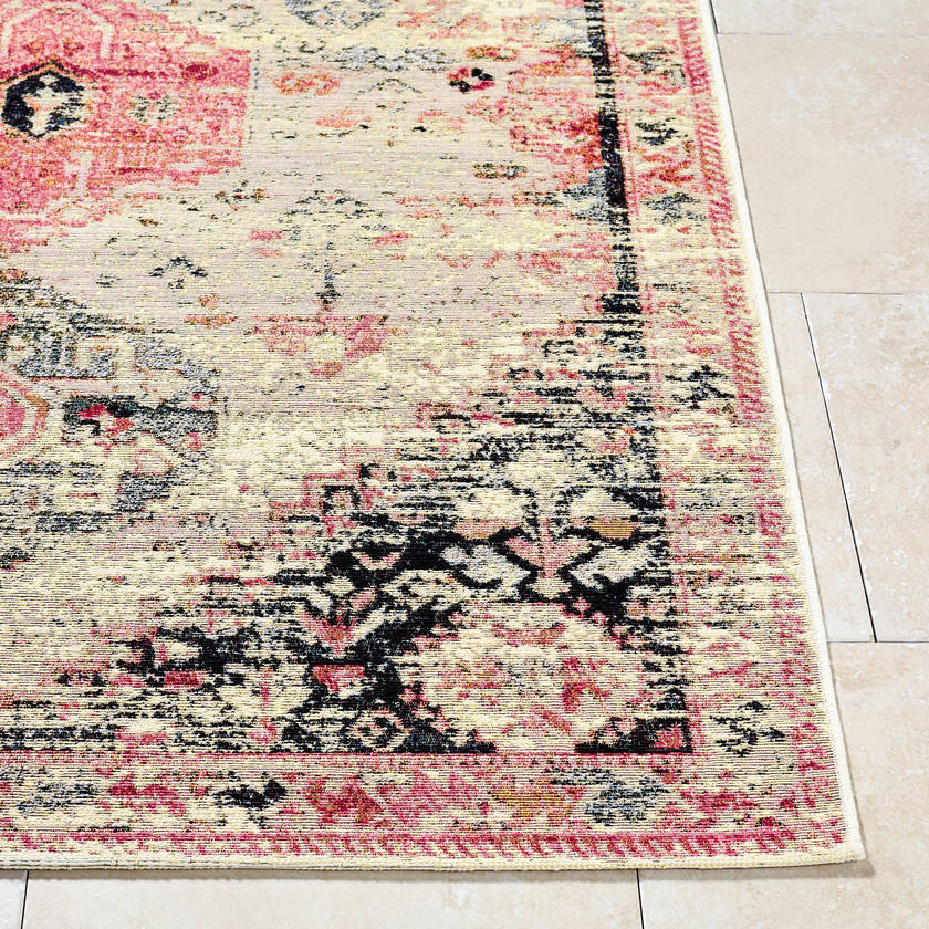Haacht Traditional Blush Area Rug
