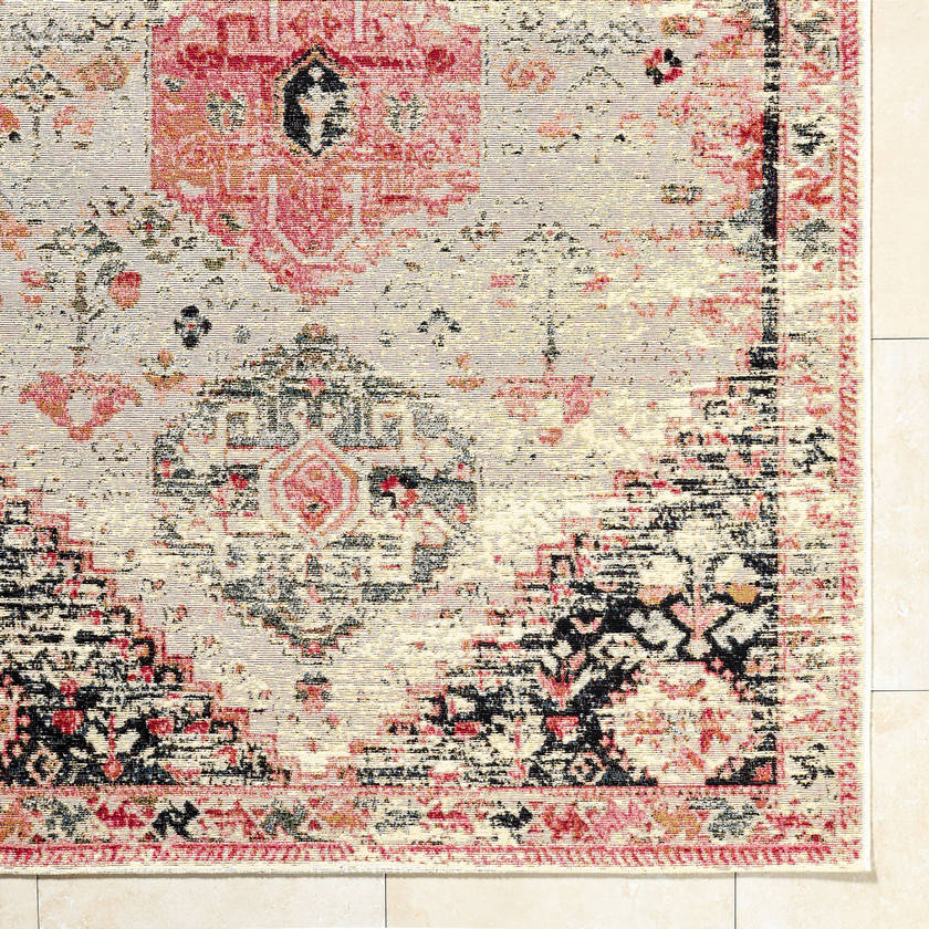Haacht Traditional Blush Area Rug