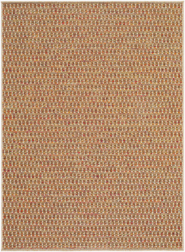 Akash Cottage Terracotta Area Rug
