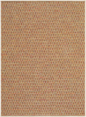 Akash Cottage Terracotta Area Rug