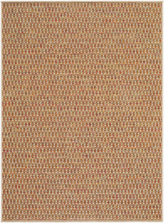 Akash Cottage Terracotta Area Rug