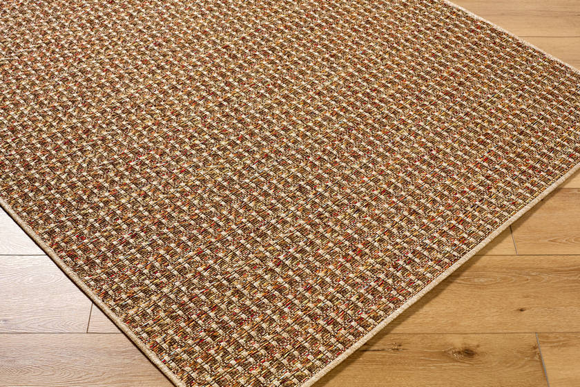 Akash Cottage Terracotta Area Rug