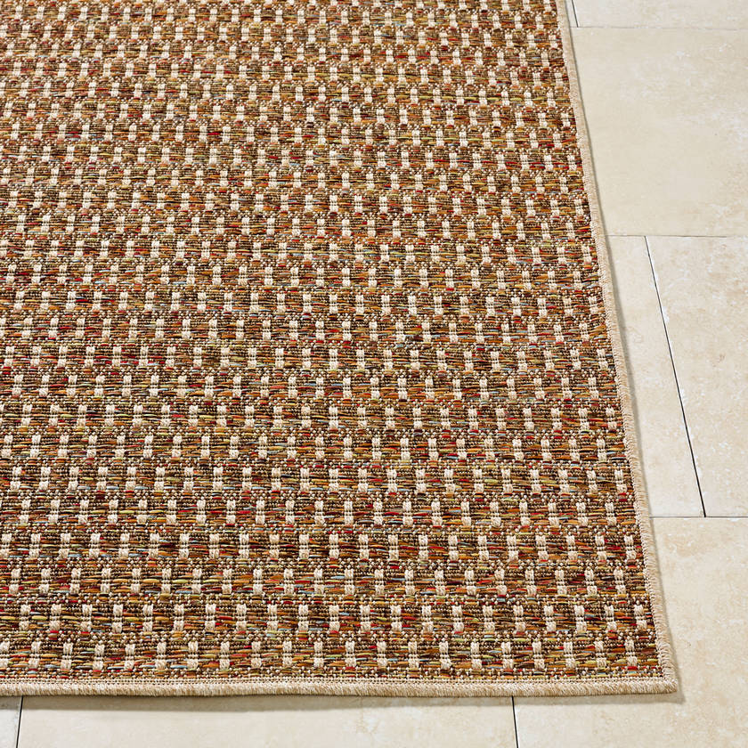 Akash Cottage Terracotta Area Rug