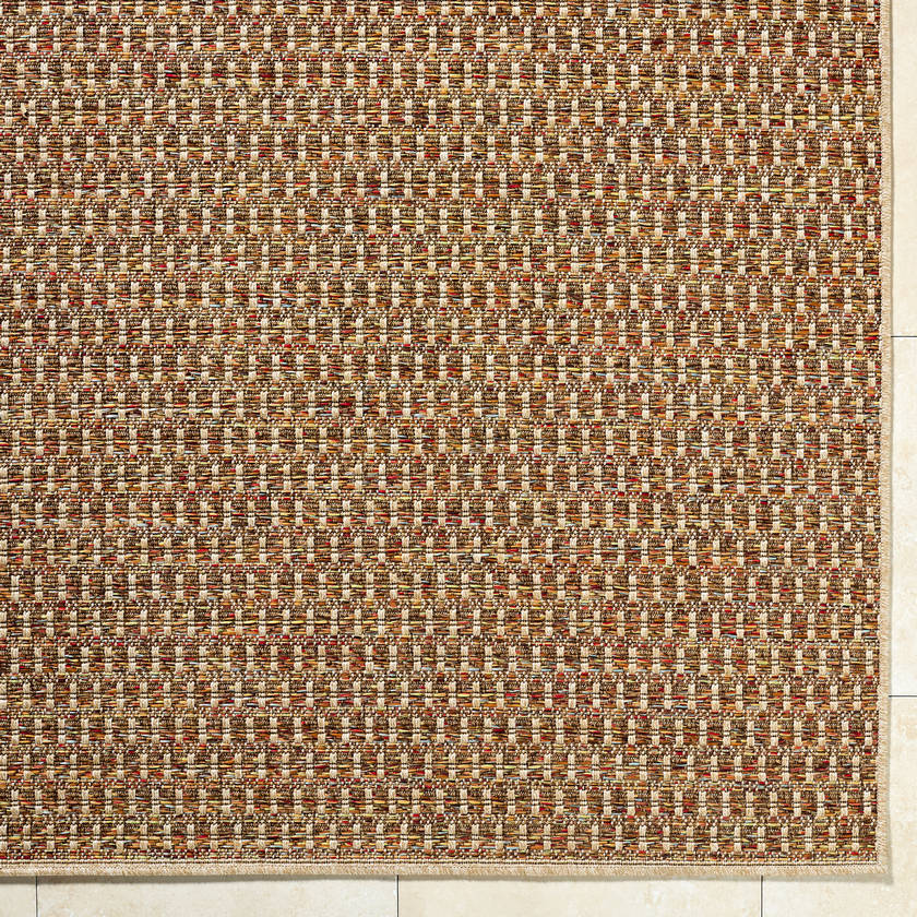Akash Cottage Terracotta Area Rug