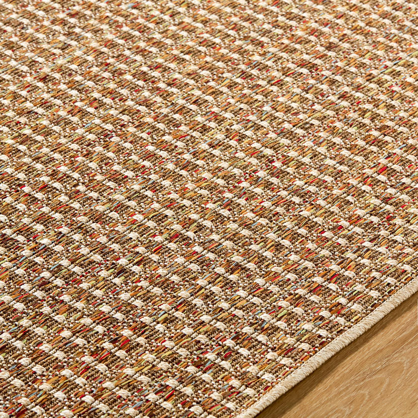 Akash Cottage Terracotta Area Rug