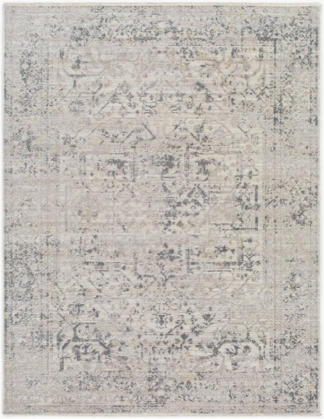 Tiffeney Traditional Charcoal Area Rug