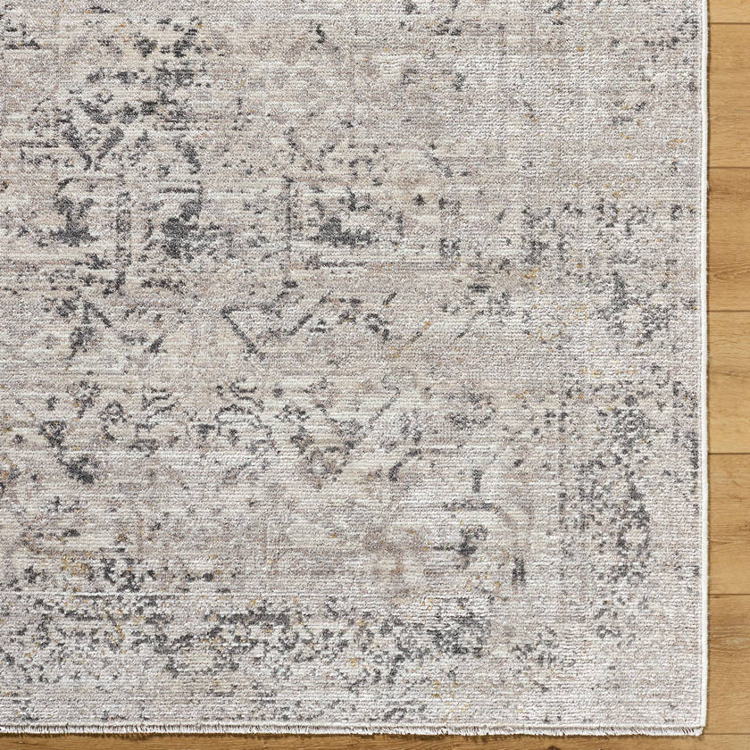 Tiffeney Traditional Charcoal Area Rug