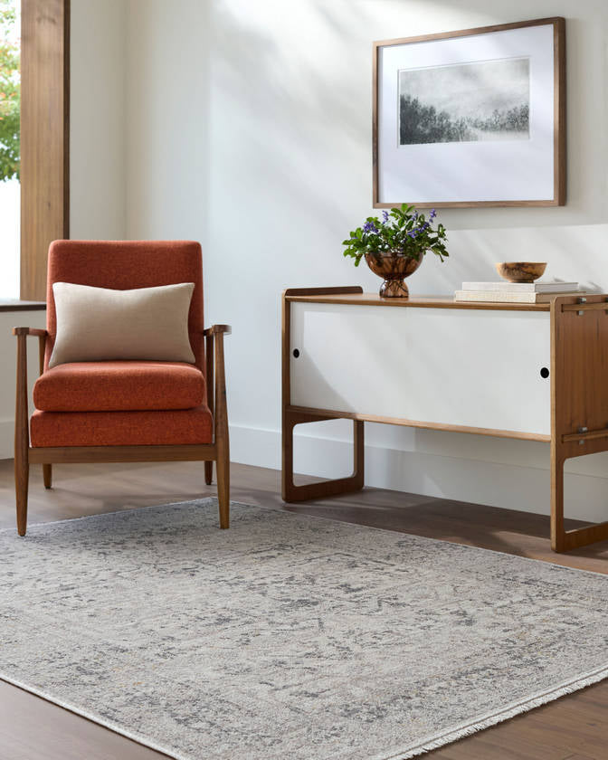 Tiffeney Traditional Charcoal Area Rug